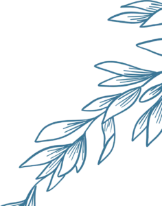stem